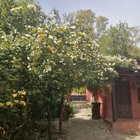 Eco Moyano Posada Gaucín Exterior foto