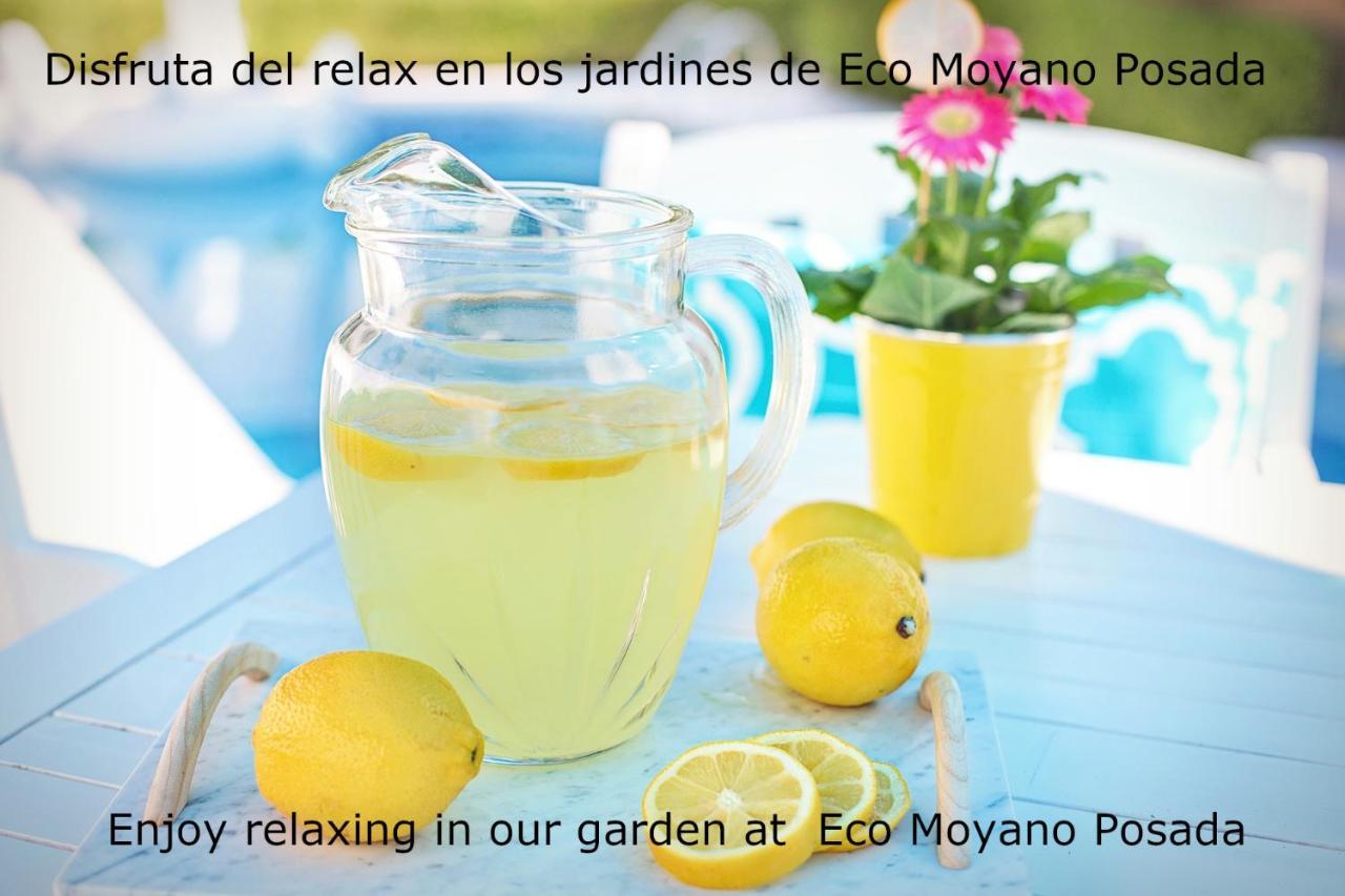 Eco Moyano Posada Gaucín Exterior foto