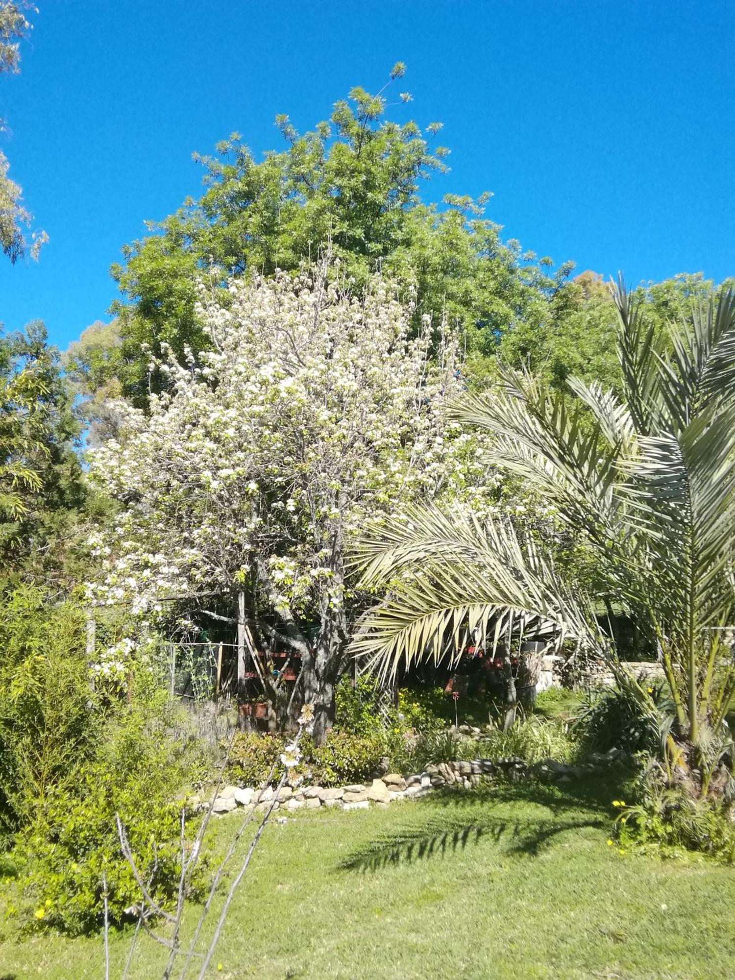 Eco Moyano Posada Gaucín Exterior foto