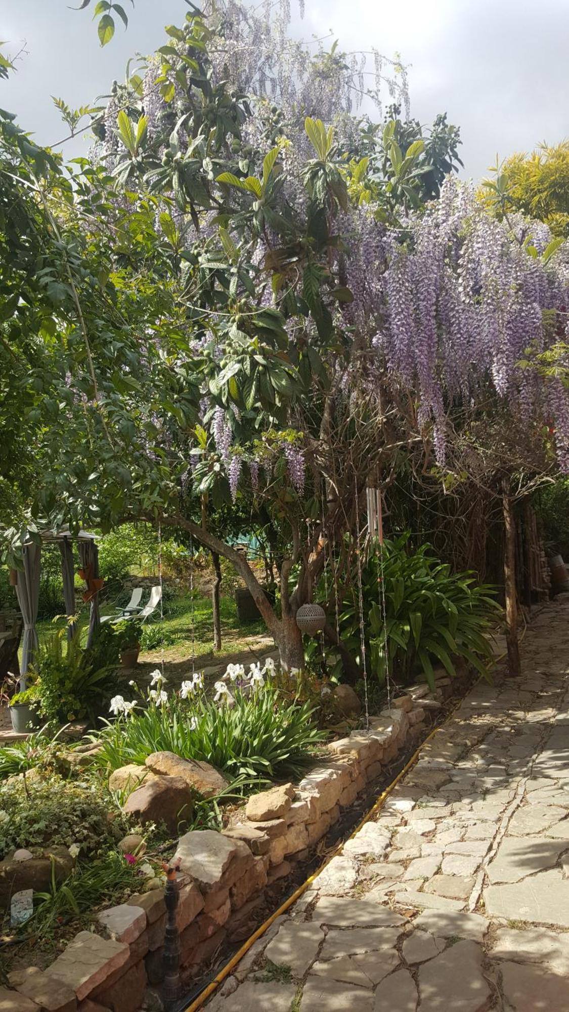 Eco Moyano Posada Gaucín Exterior foto